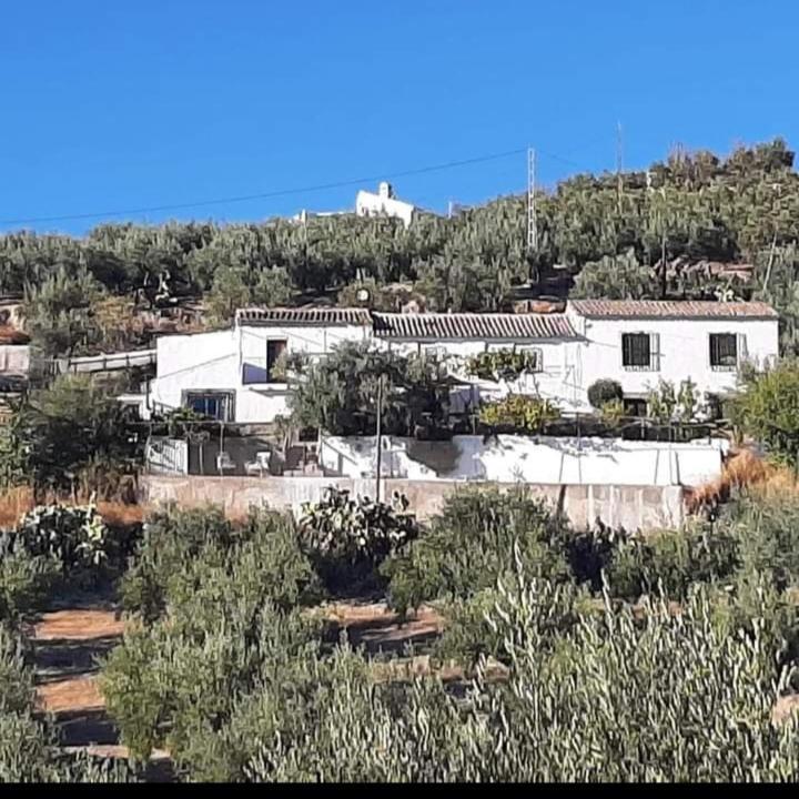 Апартаменти Cortijo El Cerro Алькаудете Екстер'єр фото